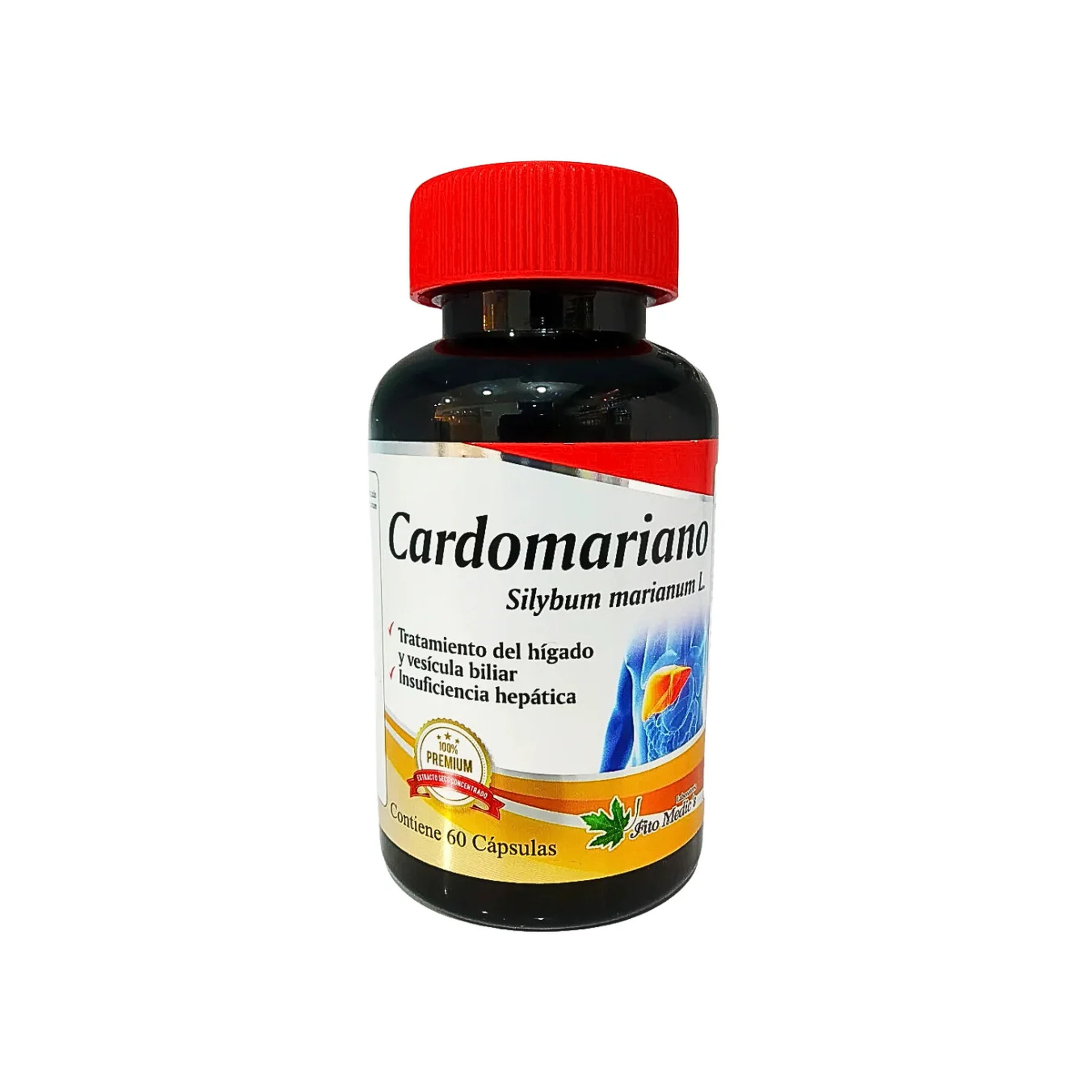 Cardo Mariano